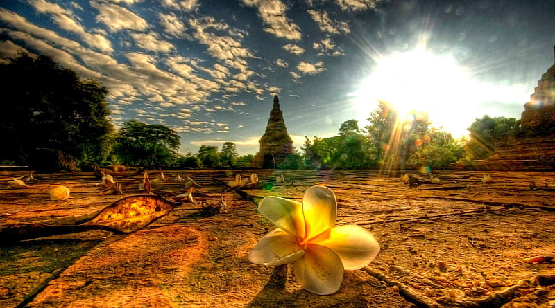 TEMPLE SITE SCENE, chiang mai, scenic, near chiang mai, lens flare, sky, asia, thailand, backlit, flower, temple, landscape, HD wallpaper