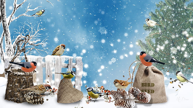 Winters Birds, pine cones, tree, snow, birds, ice, bird seed, winter, HD wallpaper