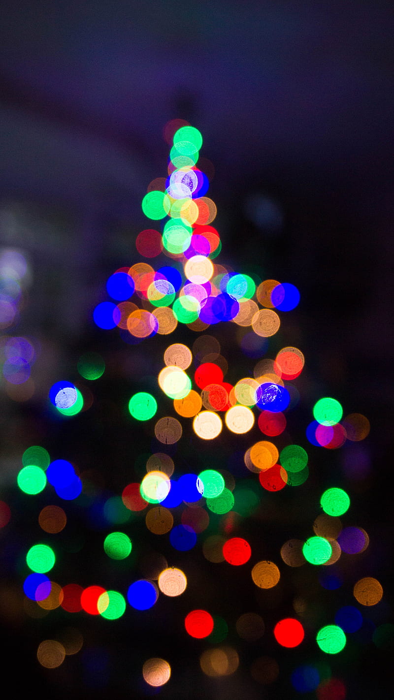 4K free download | Big Tree, lights, christmas, xmas, tree, festive