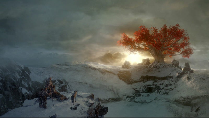 Game of Thrones - Weirwood Tree of the Three Eyed Raven, house, westeros, show, Three Eyed Raven, fantasy, tv show, Hodor, Reet, Bran Stark, tv series, Weirwood Tree, SkyPhoenixX1, George R R Martin, GoT, North, essos, Stark, HBO, a song of ice and fire, Game of Thrones, tv, medieval, snow, mountains, entertainment, ice, Meera Reed, Reed, Jojen Reed, HD wallpaper