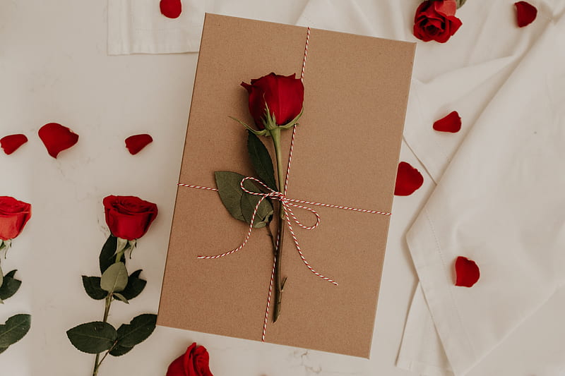 rose, flower, envelope, HD wallpaper