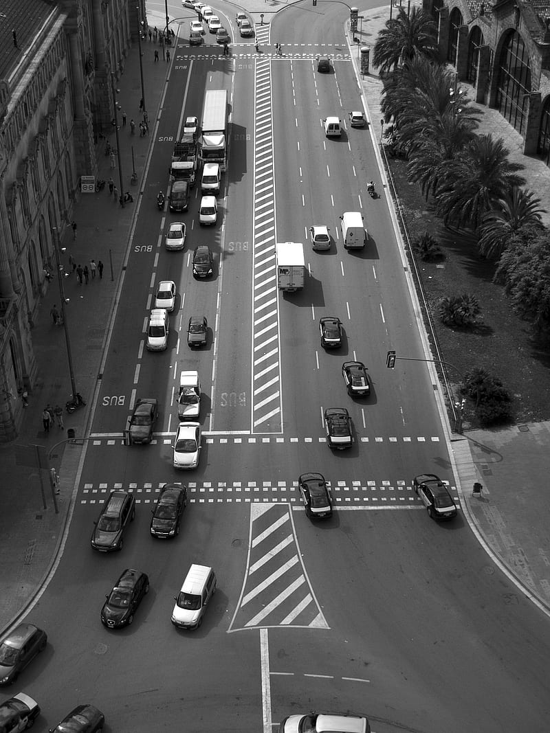 birds eye view of vehicles on road between buildings, HD phone wallpaper