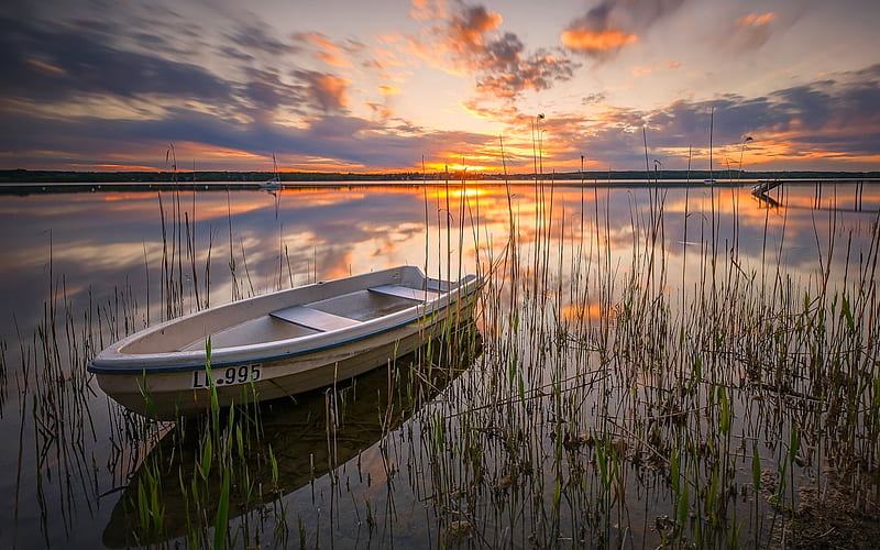 Sunset over Lake, rowboat, sunset, reflection, lake, calm, HD wallpaper