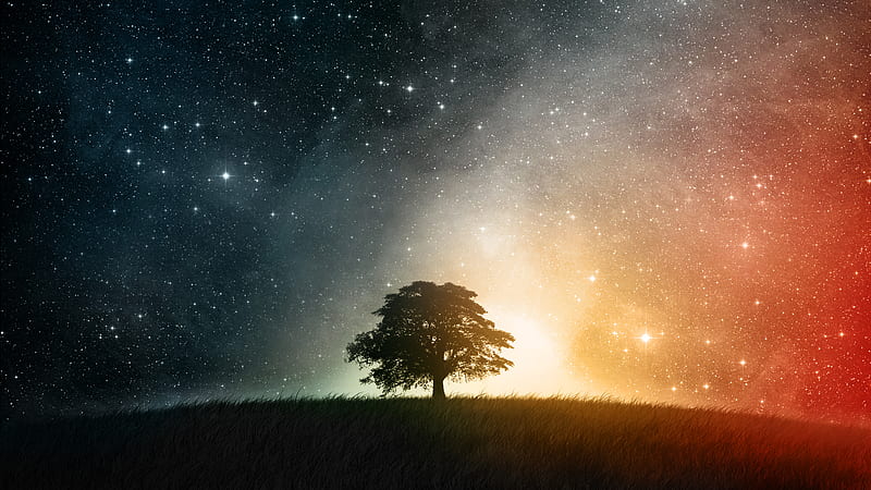 Cosmic Hilltop, stars, tree, space, scenary, abstract, HD wallpaper