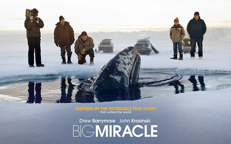 Big Miracle 2012 Movie, HD wallpaper