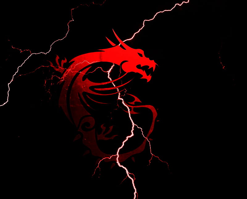 Red Dragon, animations dragon, background, laptops, HD wallpaper