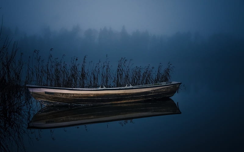 solitary rowboat on a lake at night, rowboat, grass, lake, night, HD wallpaper