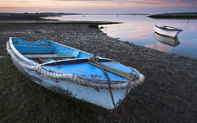 row boats in harbor at low tide, boats, sunset, shore, harbor, HD wallpaper