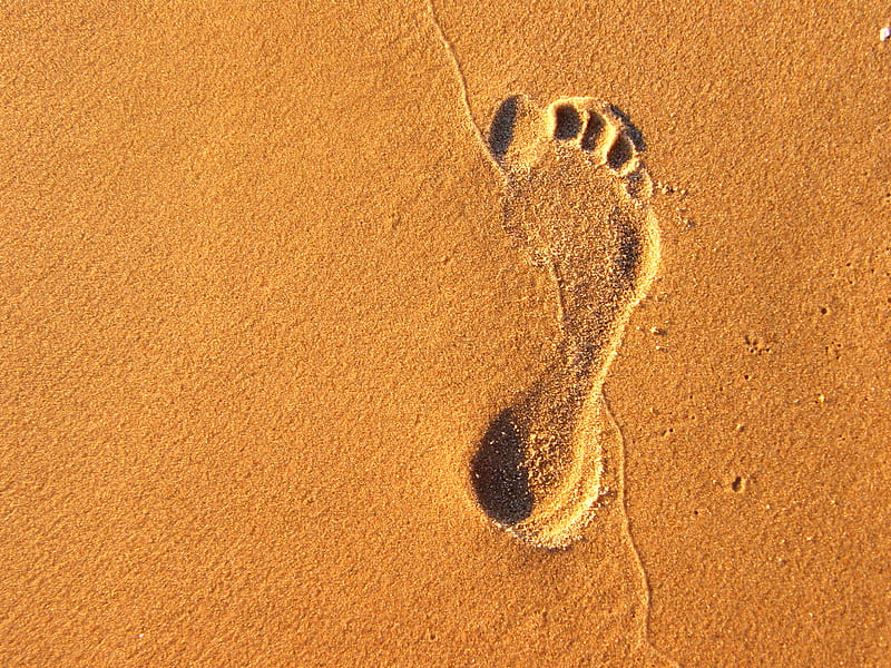 Footprints in the sand - Collages Wallpaper ID 978164 - Desktop Nexus  Abstract | Footprints in the sand poem, Footprints in the sand tattoo,  Footprint