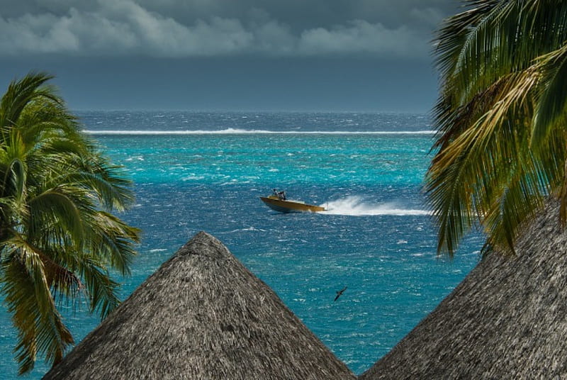 Tahiti Stormy, polynesia, islands, cloudy, exotic, view, ocean, clouds, stormy, sea, beach, boat, speed, paradise, island, tahiti, tropical, HD wallpaper