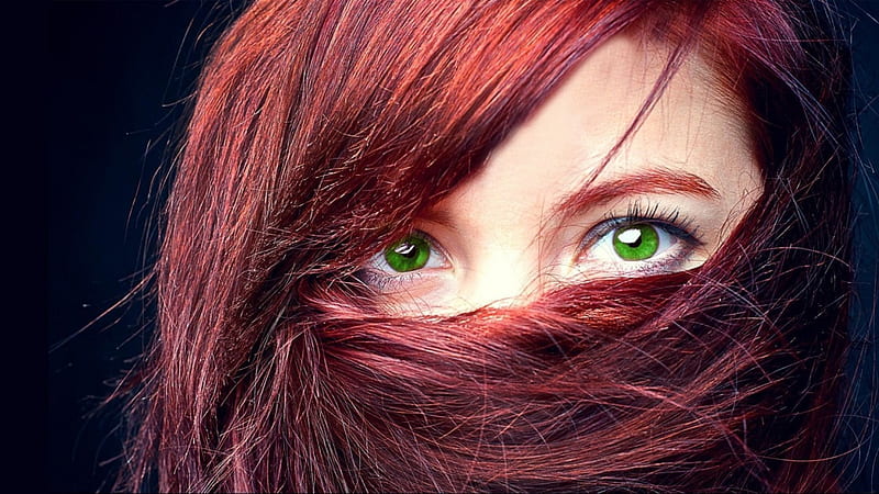 eye brows, hair, browns, red, eye, HD wallpaper