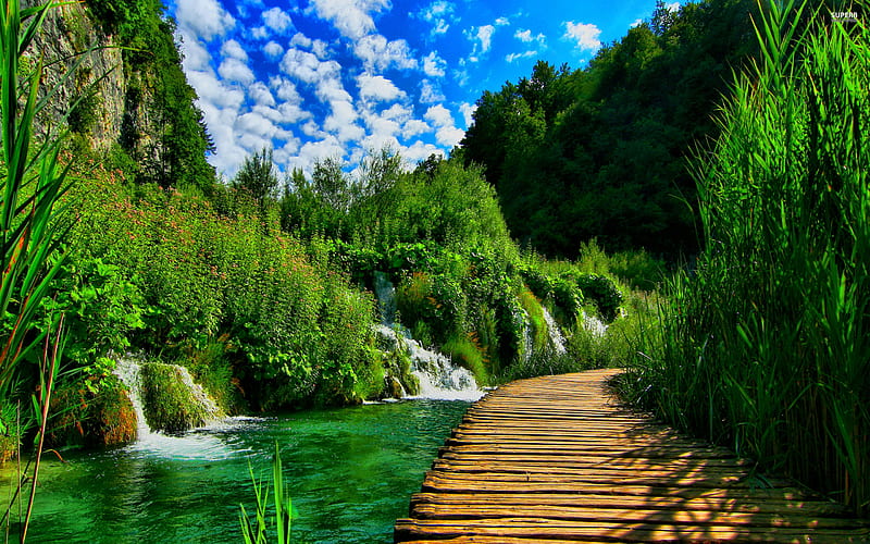 Plitvice Lakes National Park, summer, waterfalls, forest, Croatia, oasis, Europe, HD wallpaper