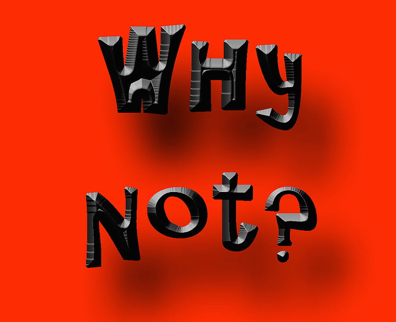 Why Not, black, red, saying, HD wallpaper