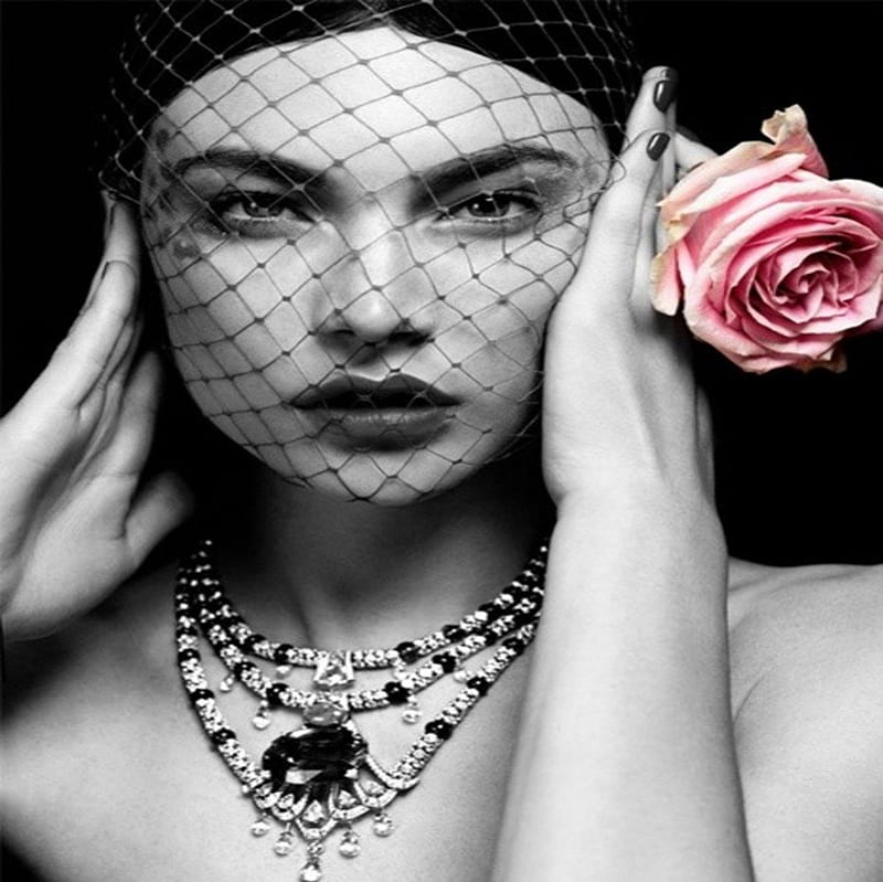 :), pink rose, jewels, model, black and white, sensual look, beauty, woman, HD wallpaper