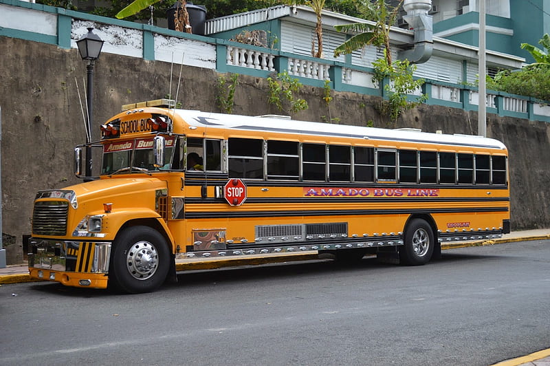 amado school bus, school, amado, street, bus, HD wallpaper