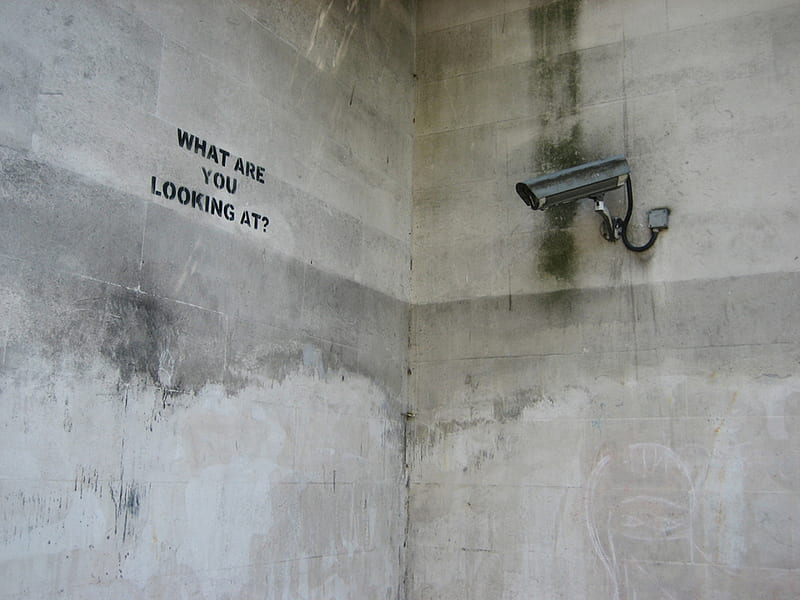 What are you looking at?, funny, wall, security camera, HD wallpaper