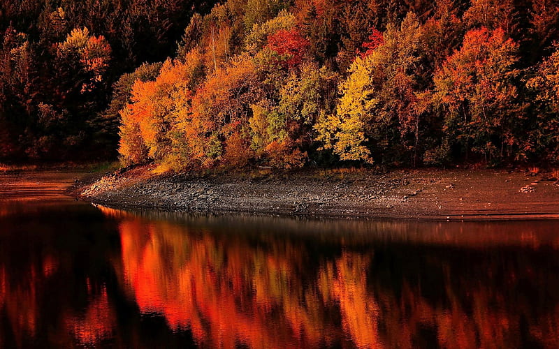 Autumn Coloring the River, autum, forest, nature, river, reflection, trees, HD wallpaper