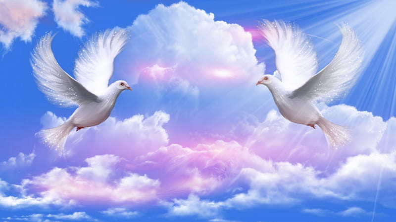 ~*~ Doves Peace ~*~, doves, nature, peace, clouds, sky, blue, HD wallpaper