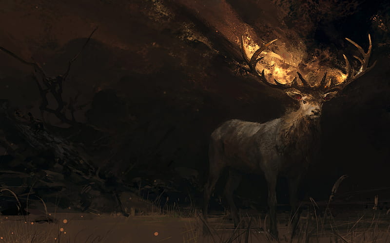 Deer Animal Fantasy Art, Galaxy Deer, HD wallpaper
