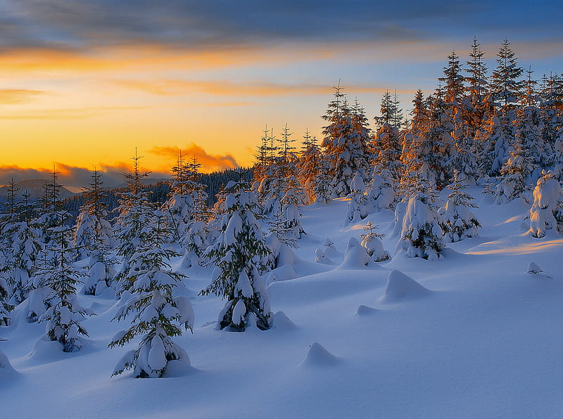 sun reflecting off snow gorgeous, setting, scenic, bonito, gorgeous, HD wallpaper