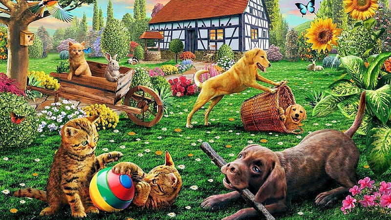 Hunde, Haus, Deutschland, Katze, HD wallpaper