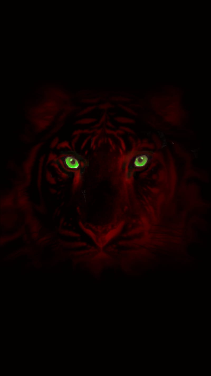 HD red tiger wallpapers | Peakpx