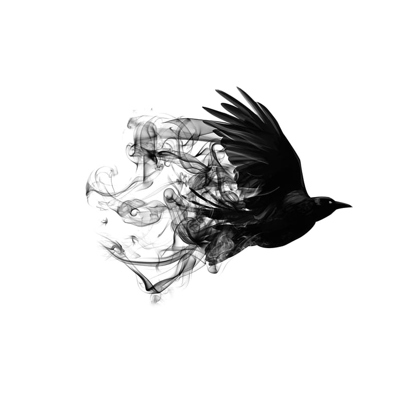 Crow, bird, fly, ghost, raven, sad, smoke, spiritual, tumblr, wings, HD  phone wallpaper | Peakpx