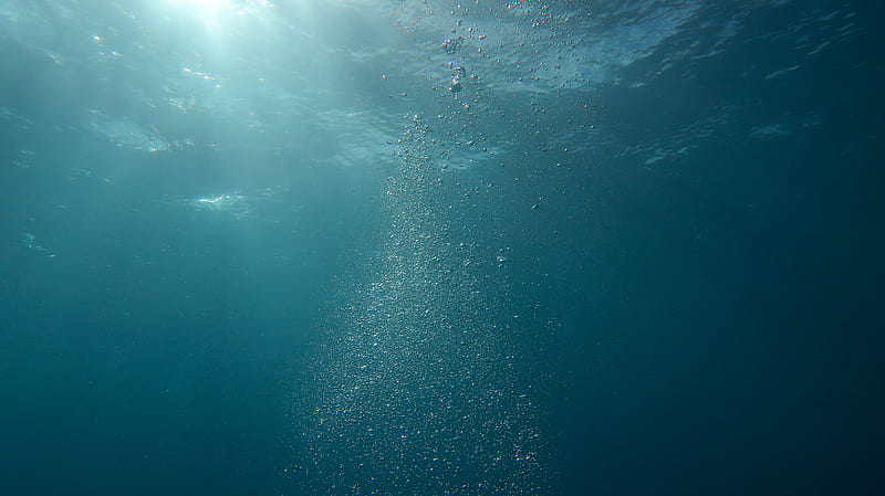 of Bubbles Underwater, HD wallpaper