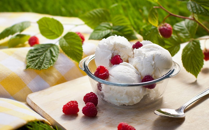 Ice cream with raspberries, raspberries, spoon, grass, ice cream, food, refresh, picnic, leaf, fruit, leaves, green, nature, bowl, HD wallpaper