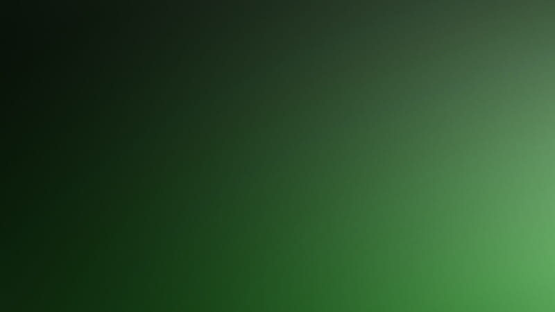 Fern Green Color Solid Color, HD wallpaper | Peakpx