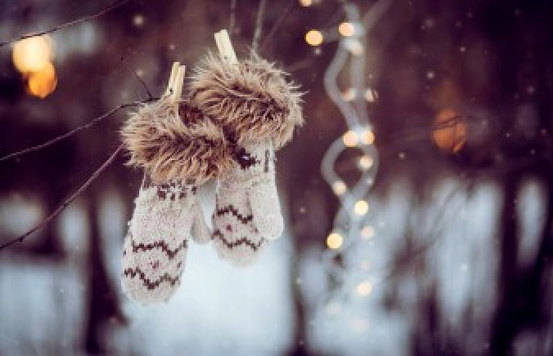 Cozy Winter , mittens, graphy, bokeh, snow, bonito, lights, winter, HD wallpaper