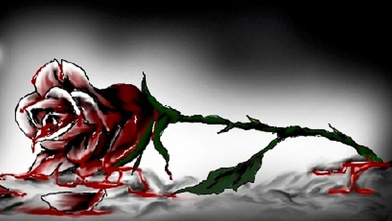 Blooded, goth, red, rose, dark, flower, blood, HD wallpaper | Peakpx