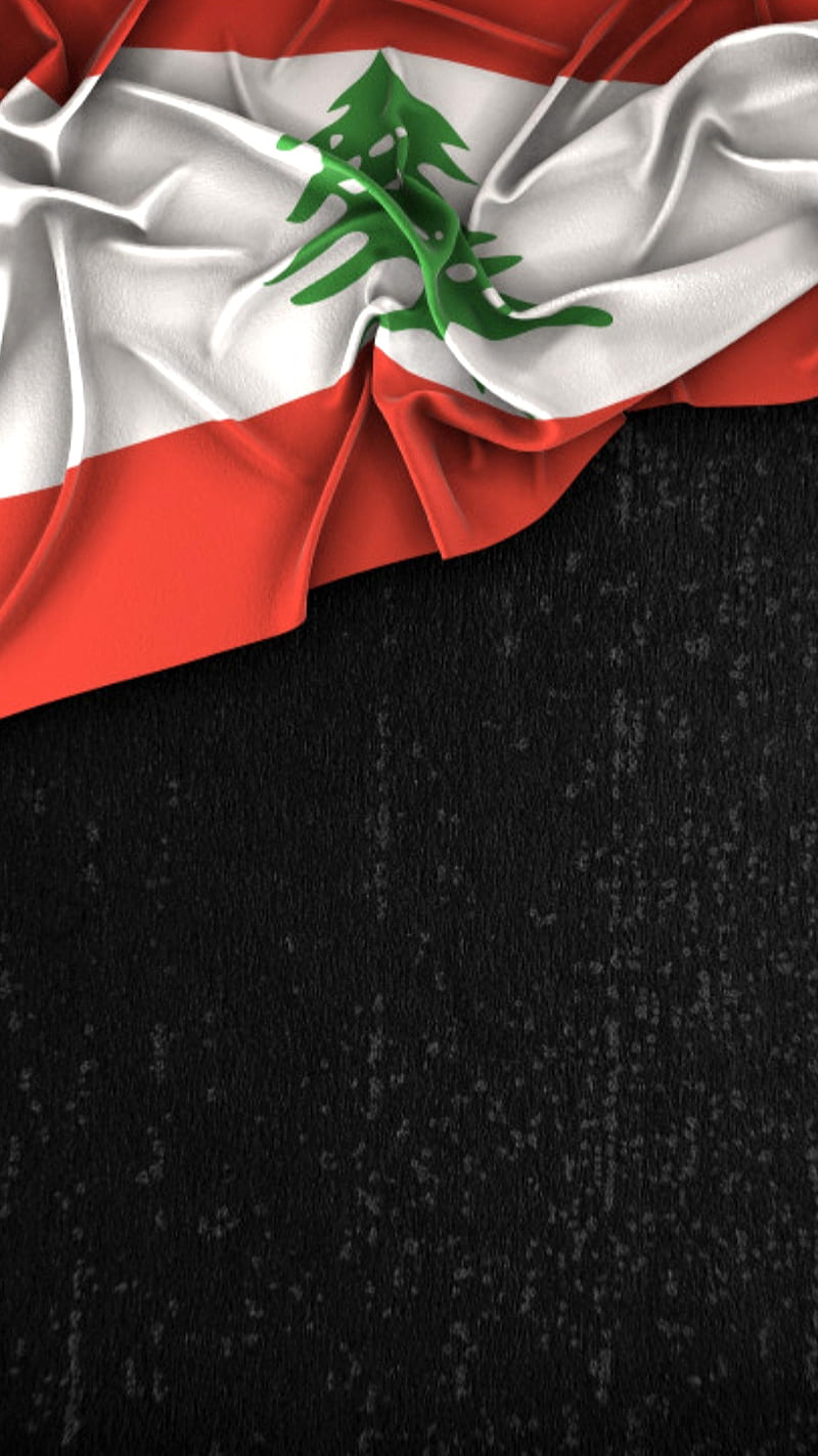 Lebanon, cedar, cedar tree, flag, lebanese, lebanese flag, tree, HD phone wallpaper