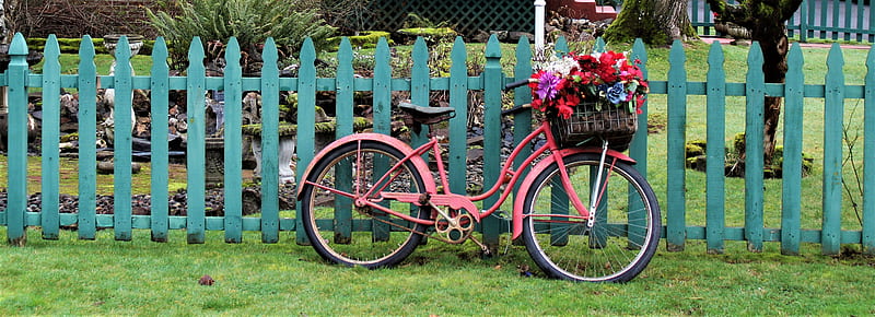 Pink Bike on Blue Fence, cute, flowers, bicycle, vase, bike, pink, HD wallpaper