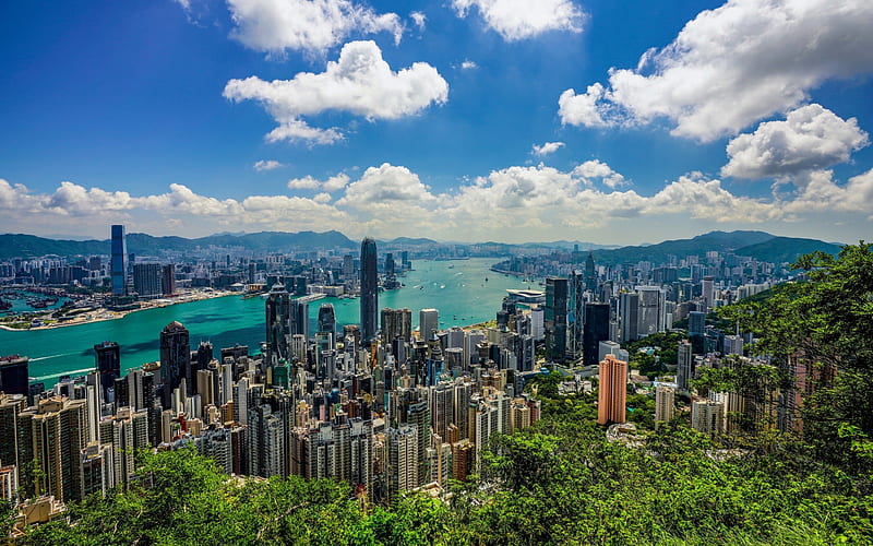 Hong Kong Bay 1080P, 2K, 4K, 5K HD wallpapers free download | Wallpaper  Flare