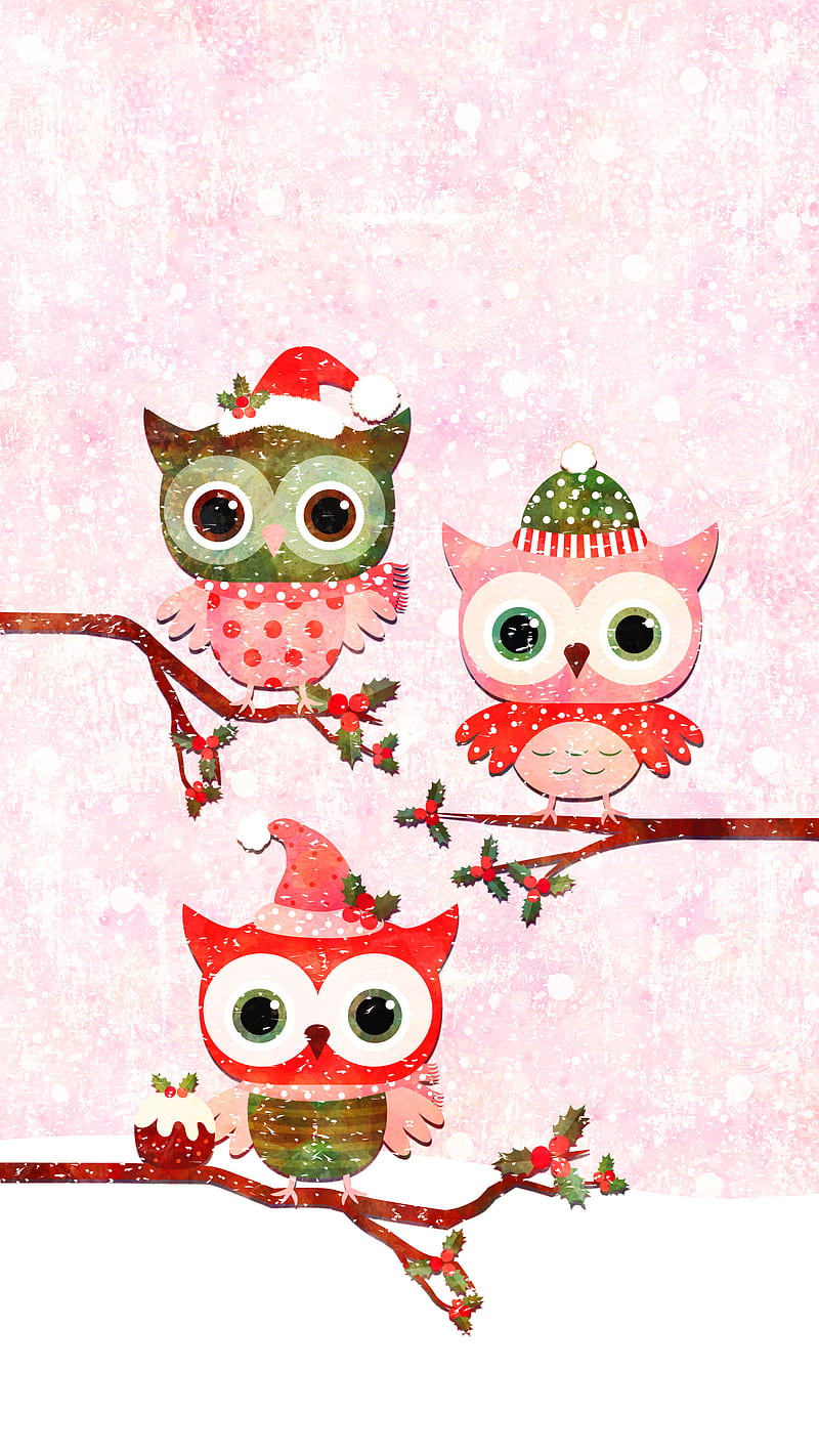 Cute Winter Owls, Adoxali, Christmas, Cute, animal, bird, branch, cake,  fun, HD phone wallpaper | Peakpx