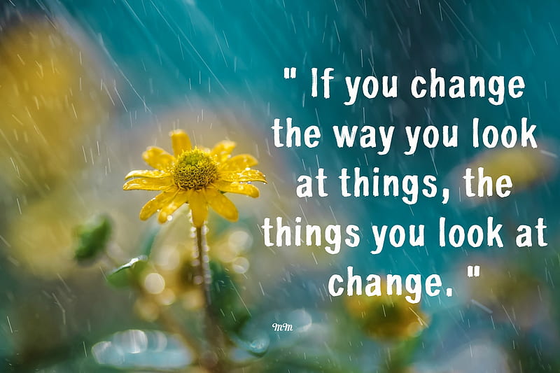 Change, thoughts, quotes, flower, words, nature, sunflower, rain, HD wallpaper