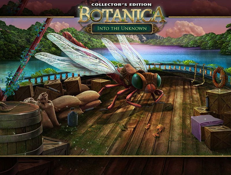 Botanica - Into the Unknown07, video games, games, hidden object, fun, HD wallpaper