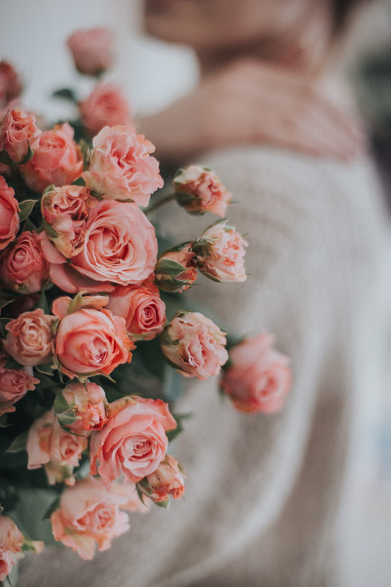 roses, flowers, bouquet, pink, gentle, HD phone wallpaper