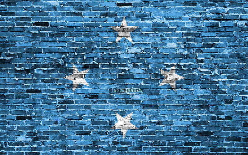 Micronesian flag, bricks texture, Oceania, national symbols, Flag of Micronesia, brickwall, Micronesia 3D flag, Oceanian countries, Micronesia, HD wallpaper