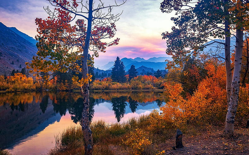 Autumn Haze, Bishop, California, fall, water, leaves, autumn, usa ...