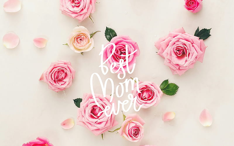 Best mom ever, Mothers Day, May 13, pink roses, floral background, congratulations for mom, HD wallpaper