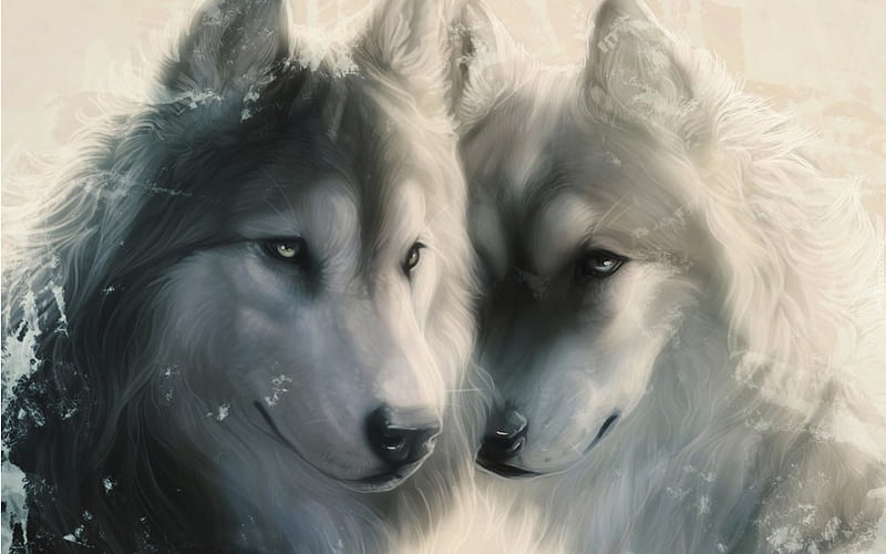 Wolf Couple, Couple, Blue Eyes, Green Eyes, White, gris, Snow, Fantasy, Wolves, bonito, HD wallpaper
