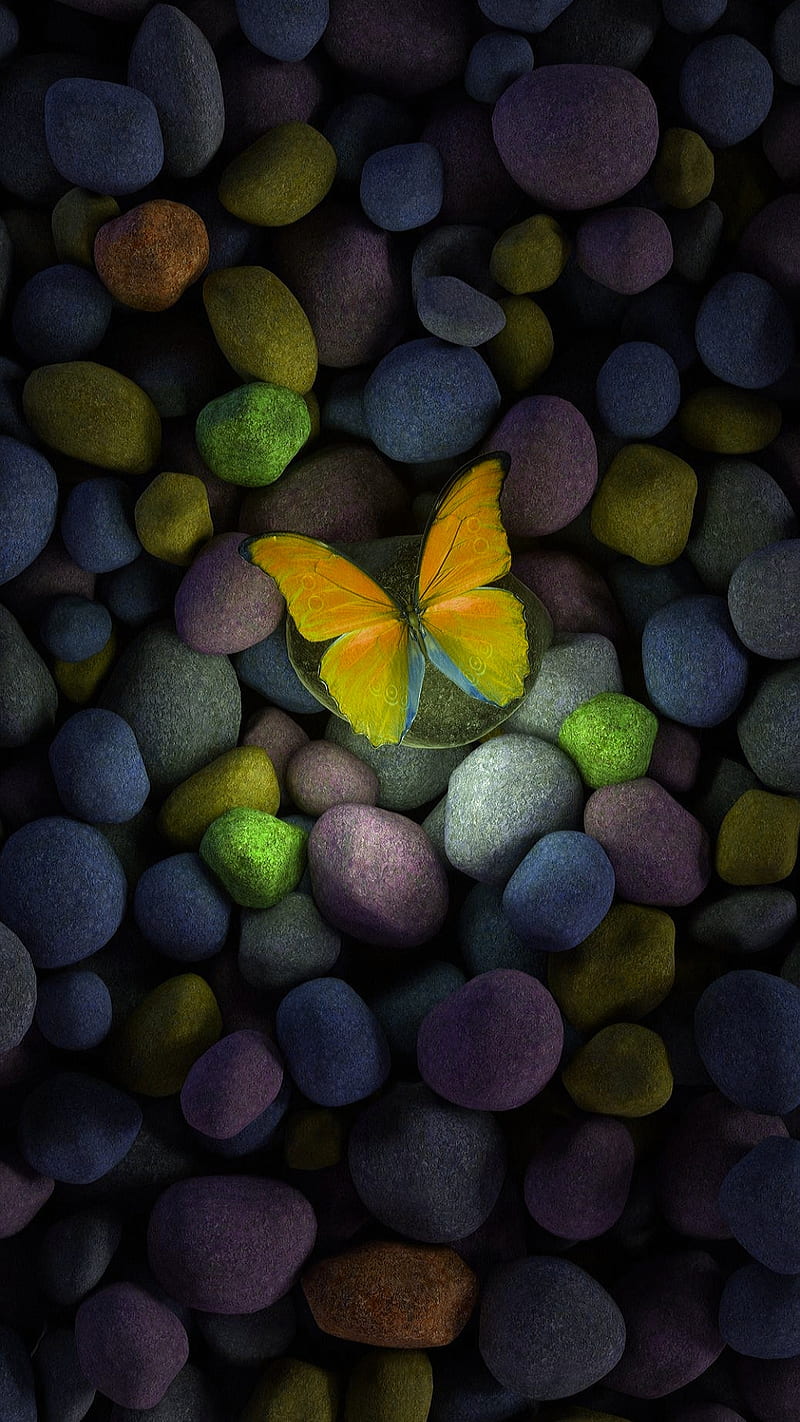 Butterfly, dark, stones, pebbles, light, nature, HD phone wallpaper