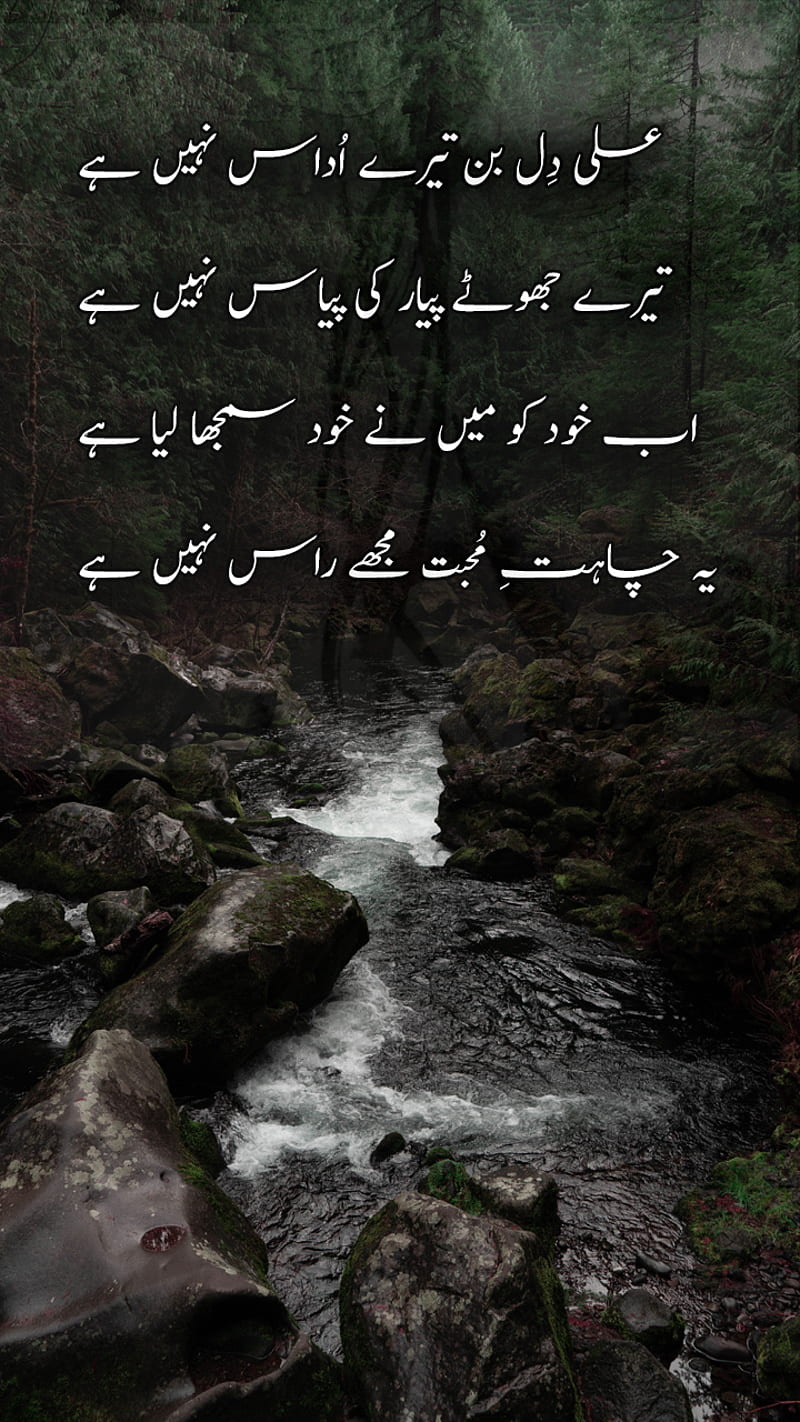 Urdu poetry, ali, ishq, love, munna ...