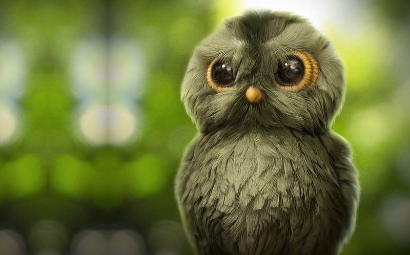 Owl, bufnita, green, ahmad merheb, bird, fluffy, pasari, HD wallpaper