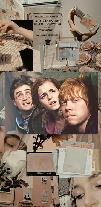 harry potter» 1080P, 2k, 4k HD wallpapers, backgrounds free download | Rare  Gallery