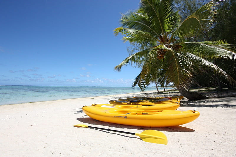 Yellow Canoes on Beach South Pacific, polynesia, yellow, canoes, canoe, sea, sail, beach, lagoon, sand, boat, south pacific, blue, exotic, islands, ocean, paradise, island, white, tropical, fiji, HD wallpaper