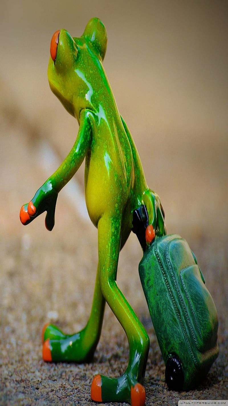Kermit the frog , frogs, green, kermit the frog, suitcase, walking, HD phone wallpaper