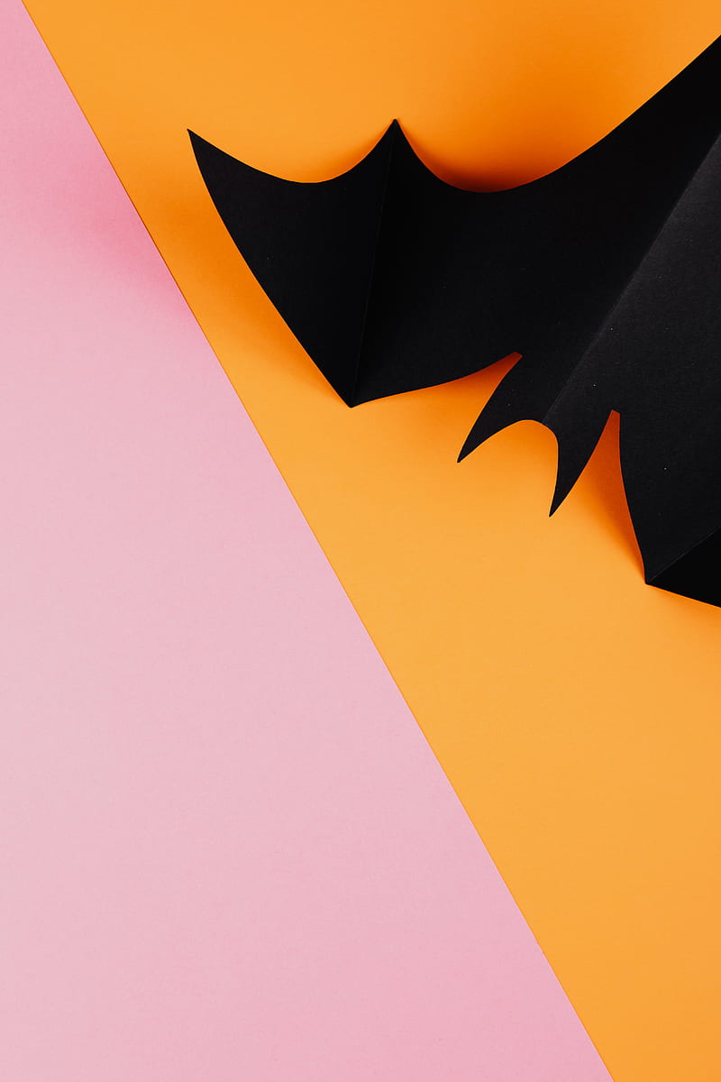 Black Paper Bat on Orange and Pink Background, HD phone wallpaper